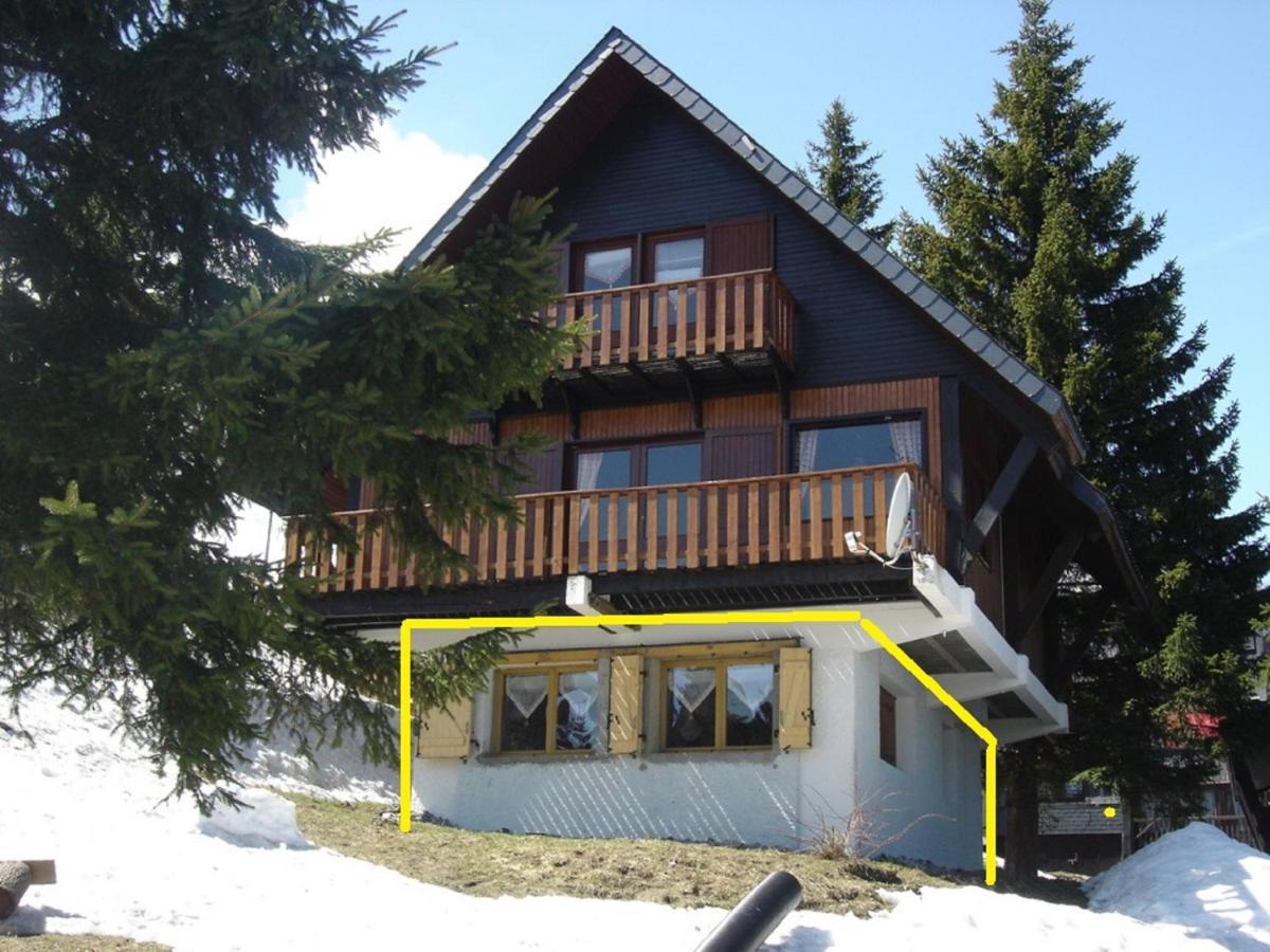Appartement Au Pied Des Pistes سانت لاري سولون المظهر الخارجي الصورة